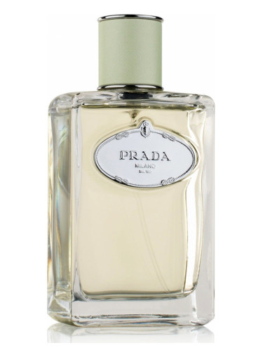 Infusion d’Iris Prada Infusion d’Iris Prada