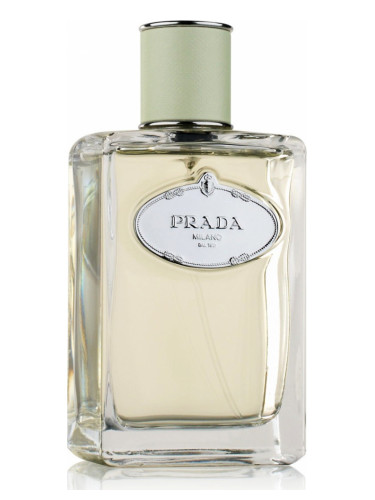 Infusion d’Iris Prada