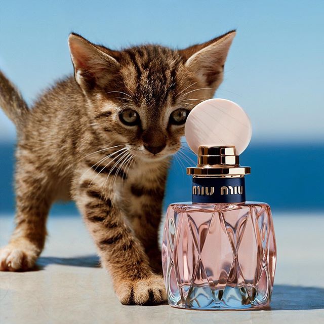 Miu Miu L’Eau Rosée 